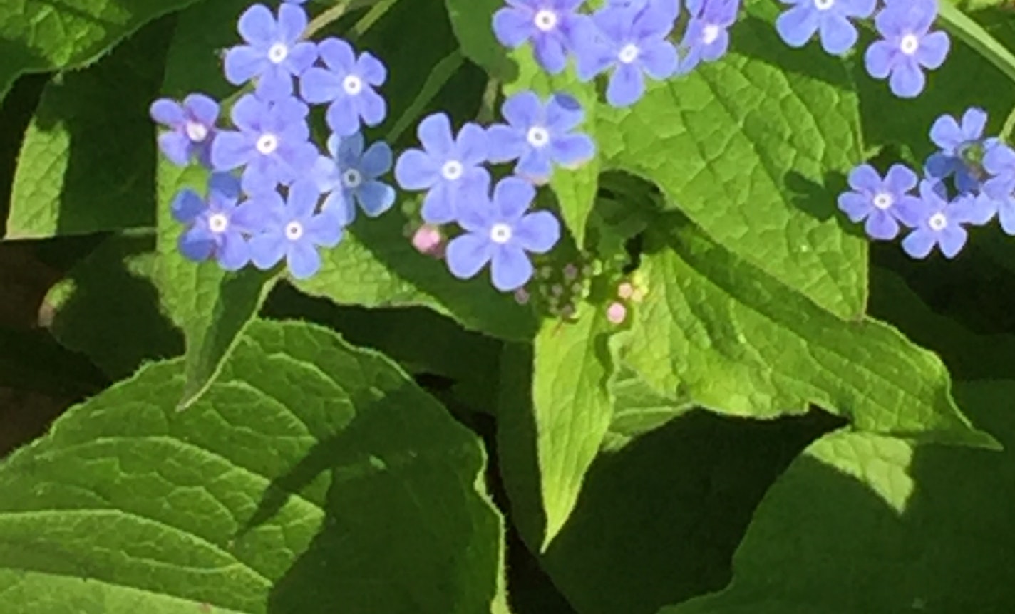 On Nurturance - an empathy/movement experience