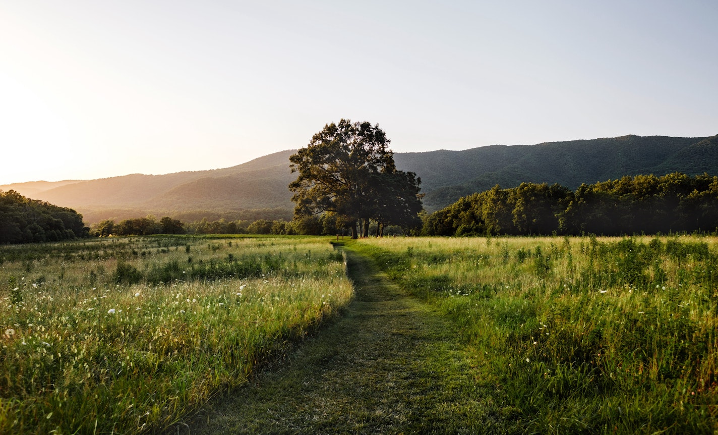 Are Our Dead Bodies the Future of Sustainability?