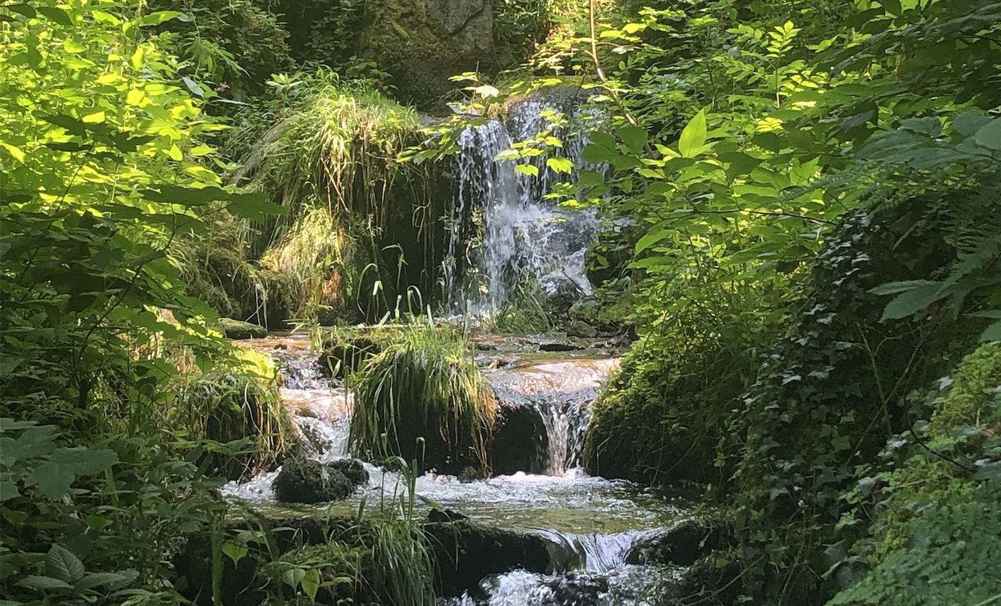 Expressing the Inexpressible: Poetry for Healing Grief