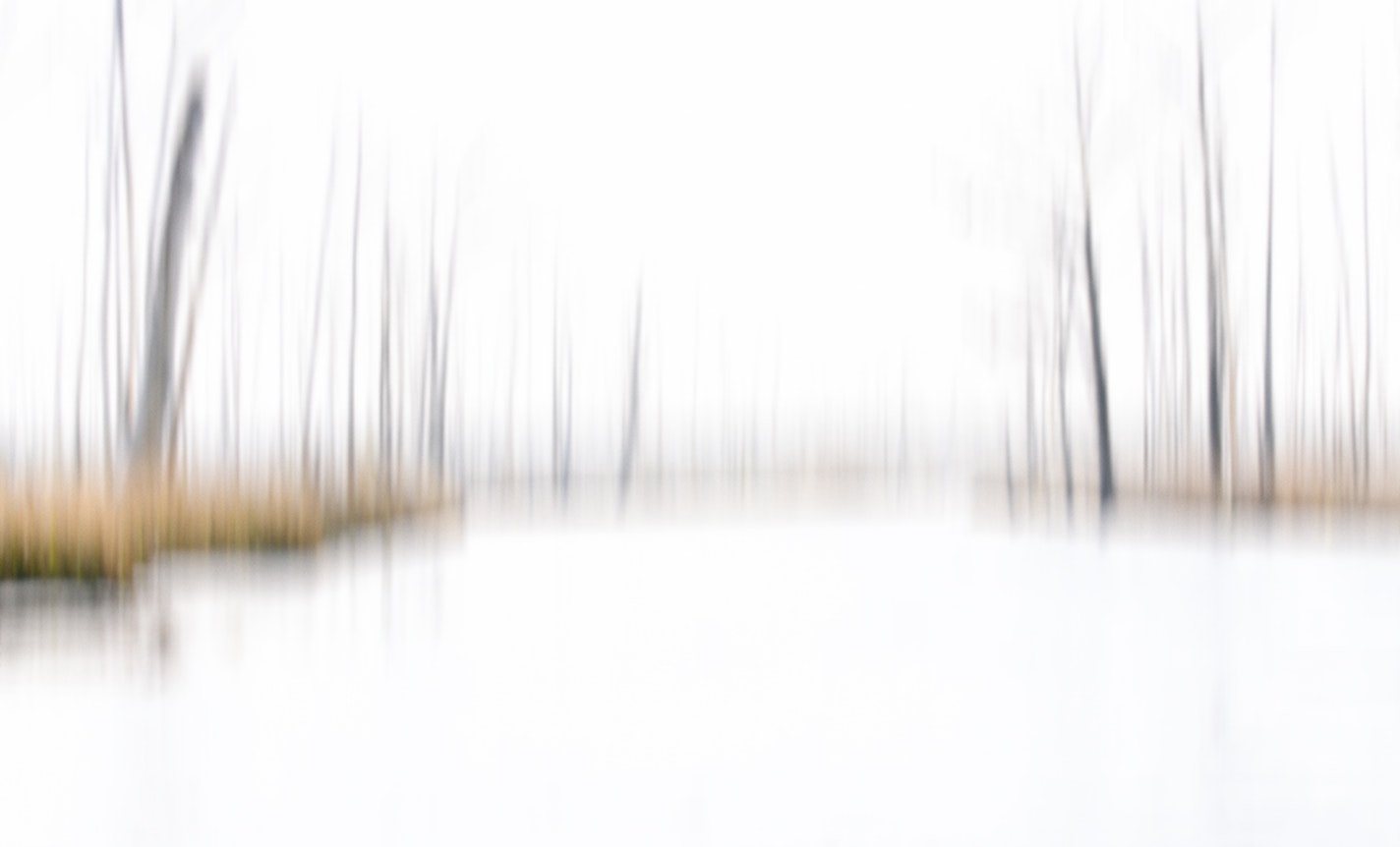 Ecological Grief: Practice & Presence with the Living World